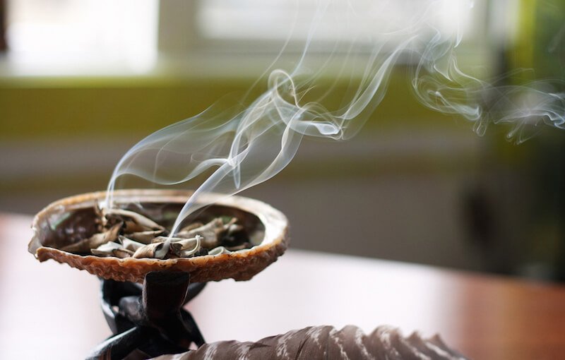 Use These 5 Plant Medicines To Smudge Your House And Clear Negative Energy