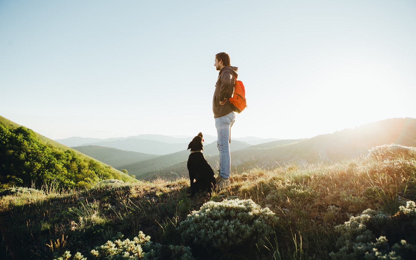 The Healing Power of Wild Places
