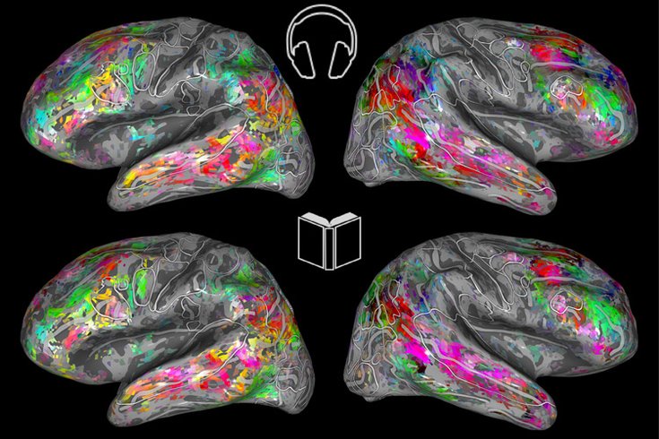 Reading and listening to books stimulates the same areas of the brain