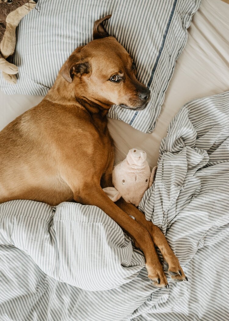 When Your Relationship Is Not What You Think It “Should” Be
